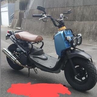 HONDA ZOOMER