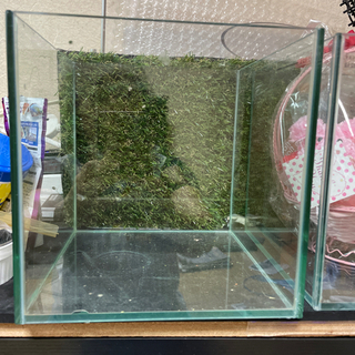 【お取引中】20センチキューブ水槽