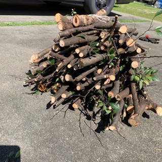 薪　無料　10/5 火曜日までの画像