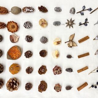 【西麻布】秋を感じる木の実リースワークショップの画像