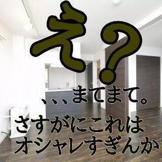 【敷礼なし】過去一でオシャレな物件