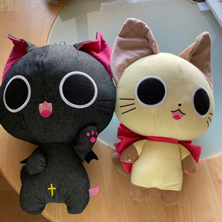 にゃんぱいあの中古が安い！激安で譲ります・無料であげます