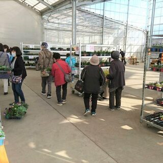 エバーグリーン富士見　花苗多肉植物販売会