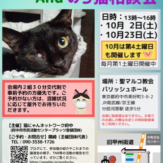 10/2(土) 猫にゃんネットワーク府中合同譲渡会