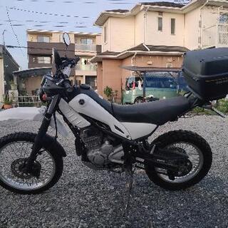 ヤマハ トリッカー インジェクション 2010年式 30632km 好調 実動車 セロー 225 オフ車 オフロード 250cc MT FIの画像