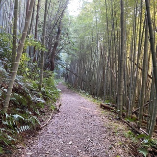 もっとも志の低い登山部