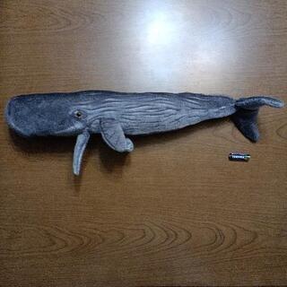 クジラ🐋ぬいぐるみの画像