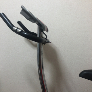 アルインコ　エディバイク　(値下げしました。)の画像