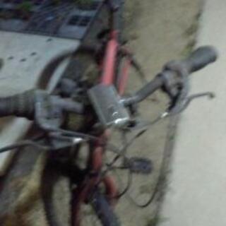 ランボルギーニの自転車