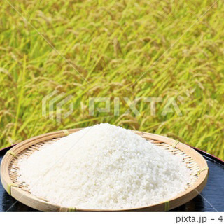 西の横綱🌾新米ヒノヒカリ