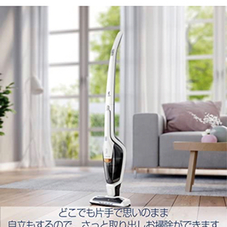 ZB3150AKY(アイスホワイト) エルゴラピード・リチウム スティッククリの画像