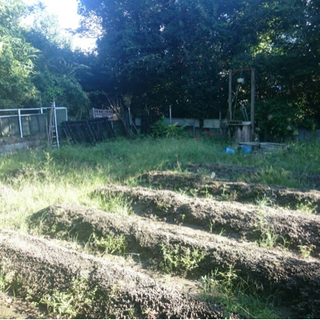高松市屋島西町　家庭菜園に