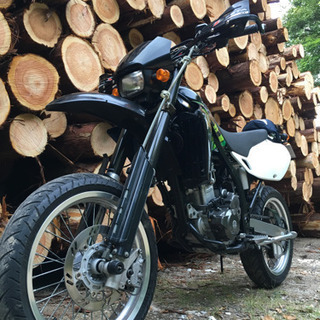 Dトラッカー250 07年式キャブ車の画像