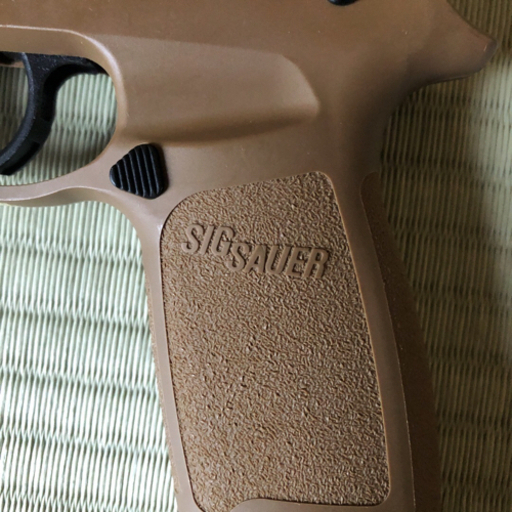 SIG AIR P320 M17
