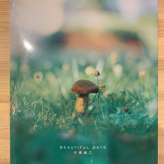 【写真集】ｂｅａｕｔｉｆｕｌ　ｄａｙｓきのこ　市橋織江