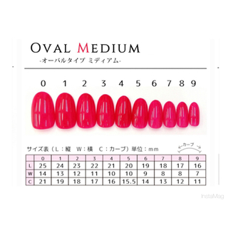 ネイルチップ ネイルの画像