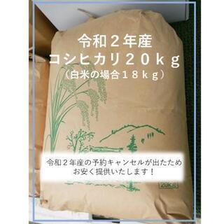 令和２年産のコシヒカリ20㎏（単一原料米）