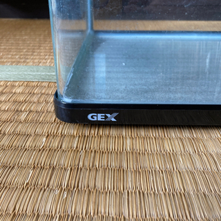 GEX水槽　　10／20追記天板ガラス割れてしまいましたの画像