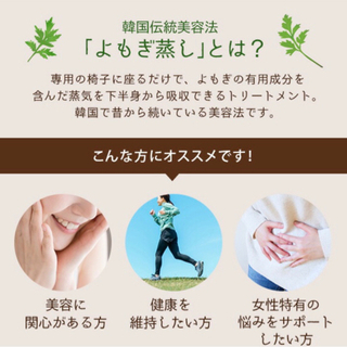 よもぎ蒸しセット　全セットに加えランキング1位国産よもぎ入り！の画像