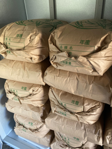 無消毒　無農薬　和歌山県産　新米　キヌムスメ　30kg　30キロ　玄米