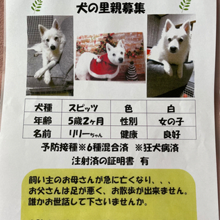 里親さん！決まりました！ありがとうございました！