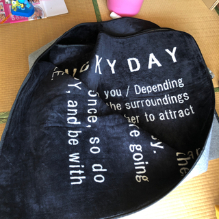 二畳用　カーペット　男前