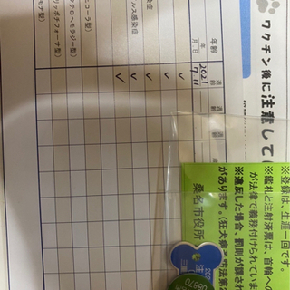 チワプー&シュナウザー男の子11月で1歳本日明日引渡し可能な方優先