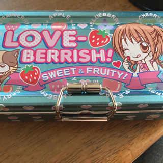 りぼん付録✩.*˚2005年式筆箱美品。ラブベリー
