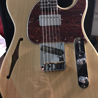 【1月末までの出品】G&L テレキャスターシンライン