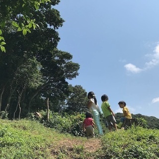 一緒に自然保育ようちえんのスタッフをしませんか？の画像