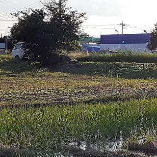 更地お貸しします - 常総市