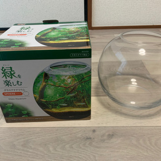 グラスアクアリウム　水槽　ジェックス