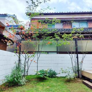 職人(見習い)募集の画像