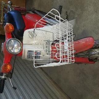 スーパーカブ　 SUPERCUB の画像