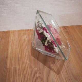 ブリザードフラワー【レンデフロール】の画像