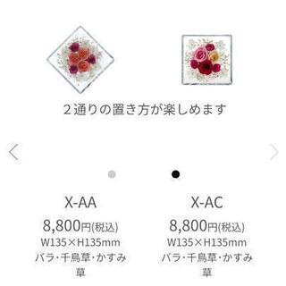 ブリザードフラワー【レンデフロール】の画像