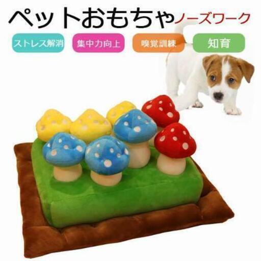 ノーズワーク(きのこ)