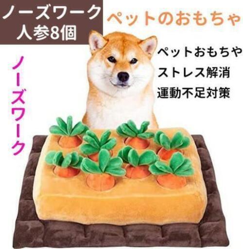 ノーズワーク(にんじん8個)