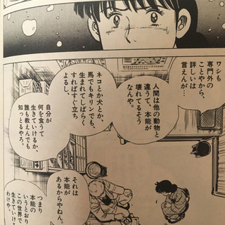 戦後マンガ　二都物語   全10巻の画像