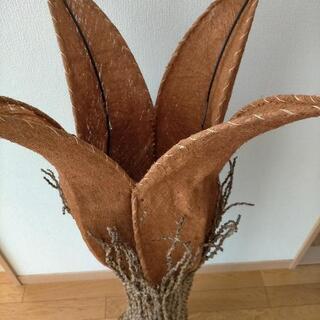 間接 照明 の画像
