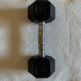 鉄アレイ5KG(2個セット)の画像