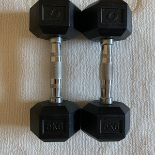 鉄アレイ5KG(2個セット)の画像