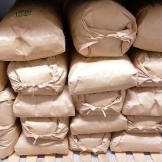 令和4年　新米　一等コシヒカリ　30kg　玄米②の画像