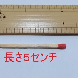 餌用ゴキブリ「デュビア」全サイズ10匹100円の画像