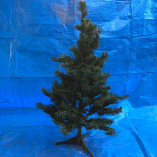 クリスマスツリーの画像