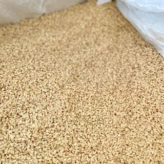 古古米（玄米）約15kg