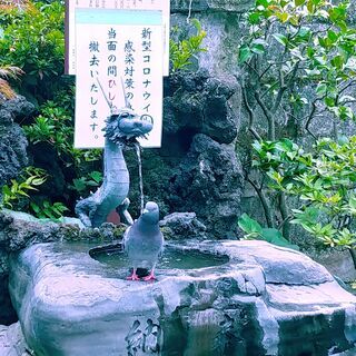 ぶらりとマイペースに浅草・スカイツリー近辺を散策 - 墨田区