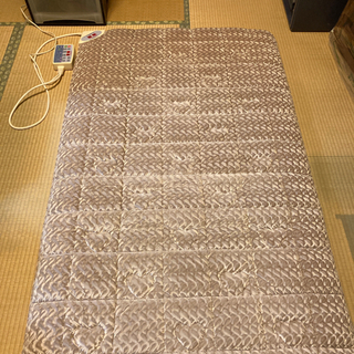 温まる電気敷きマット（美品）の画像