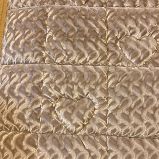 温まる電気敷きマット（美品）の画像