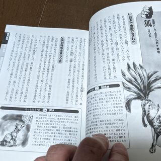 【書籍】世界の幽霊・妖怪・都市伝説の画像